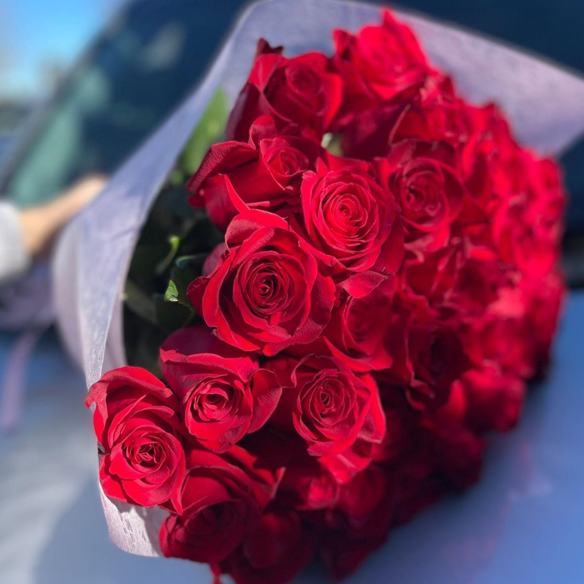 100 Red Roses